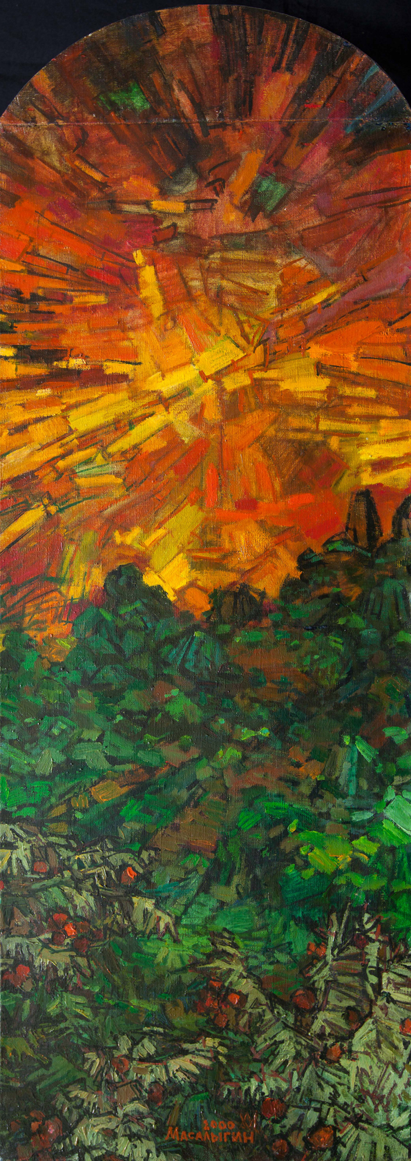 Небесный  фейерверк.